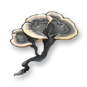 ������֥����λ�÷ֲ�ͼ