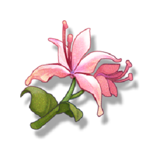 ����������������