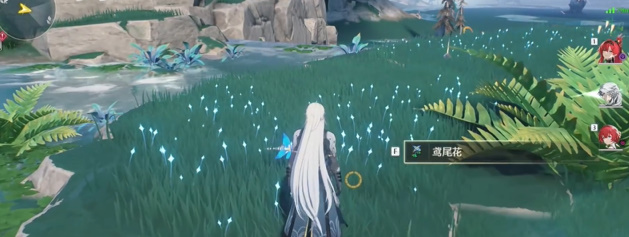 �����β����Ҫ�ֲ�������