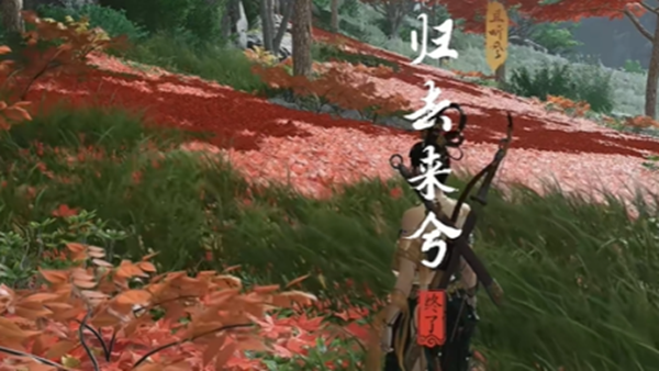 ����ʮ������ȥ����������ô��