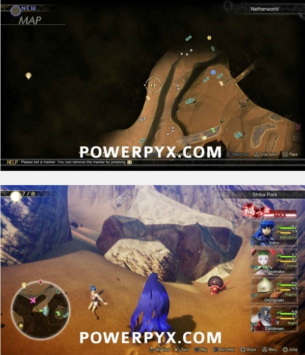 ��Ů��ת��5�������֥��԰δ���ռ�λ�ý���