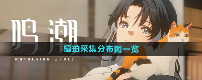 ����ֲ��������ɼ�