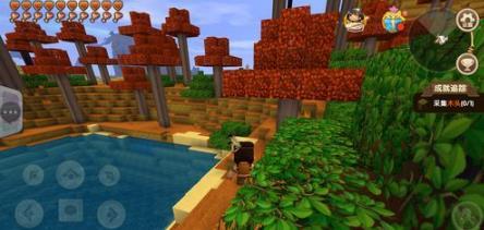 ��������2024����ɭ�ֵ�������ʲô