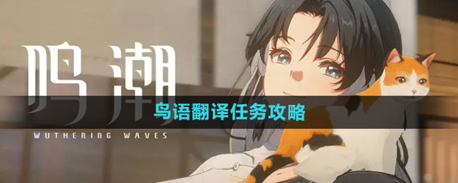 ������������֮�����﷭��������ô��