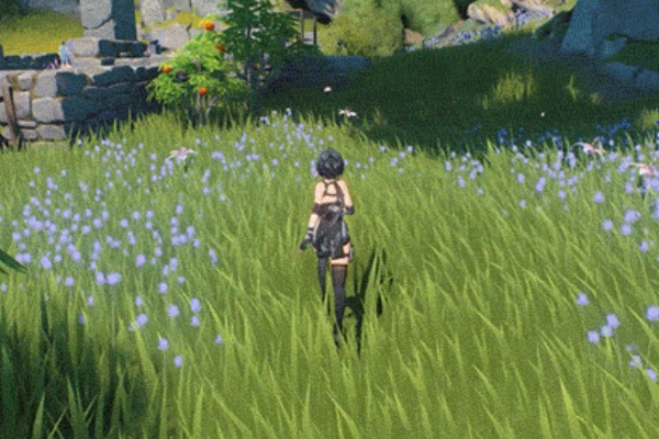 ������ϫ������ʱ������ô��