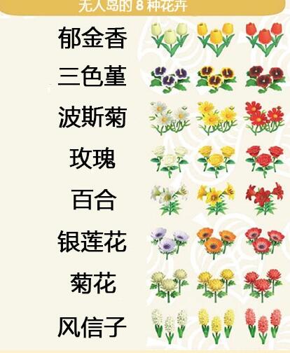 ����ɭ�ѻ���ô�ӽ�����