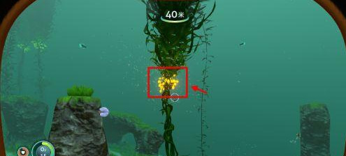 ��Ժ���ʯ����Ƭ����