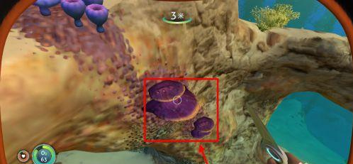 ��Ժ���ʯ����Ƭ����