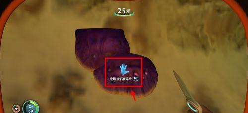 ��Ժ���ʯ����Ƭ����