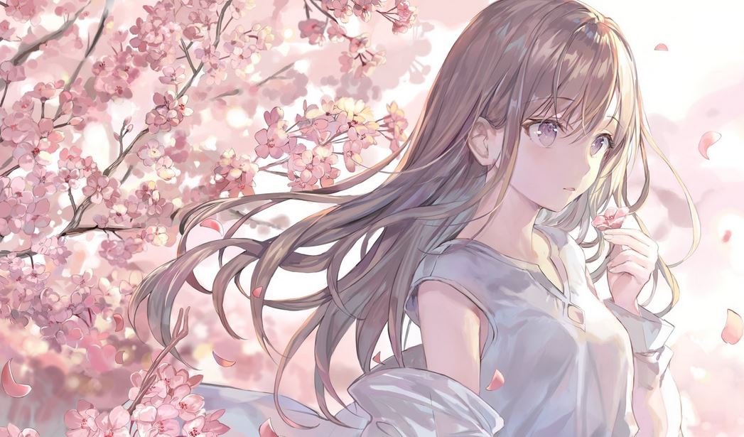 ӣ��������ѵ�¼���