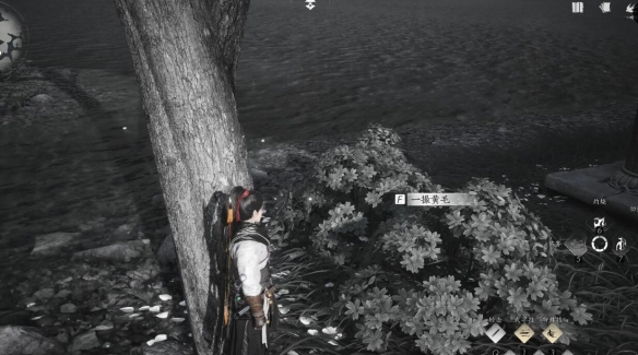 ����ʮ����ʧ�Ե�ͷ̳��������ɹ���