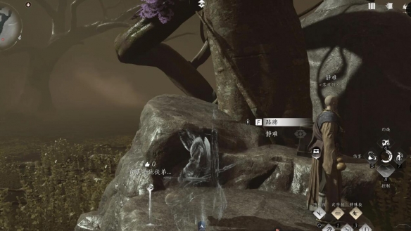 ����ʮ���������ƹ�������ô��