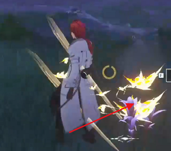 ��������Ͽ����ľͷ��ɫ��������