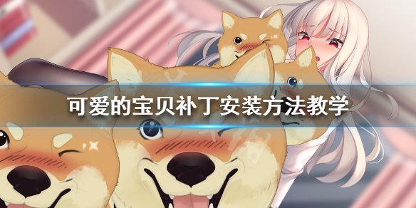 �ɰ��ı�����Ѳ�����ô��װ