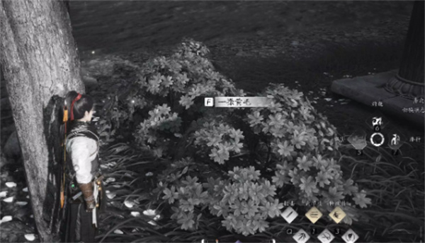 ����ʮ����ʧ�Ե�ͷ̳��������ô��