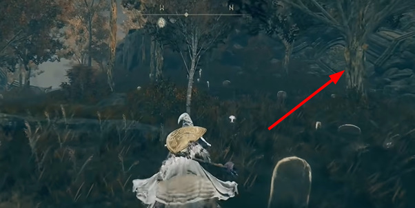 �����Ƿ���DLC����¸����ǵ�������ȡ����