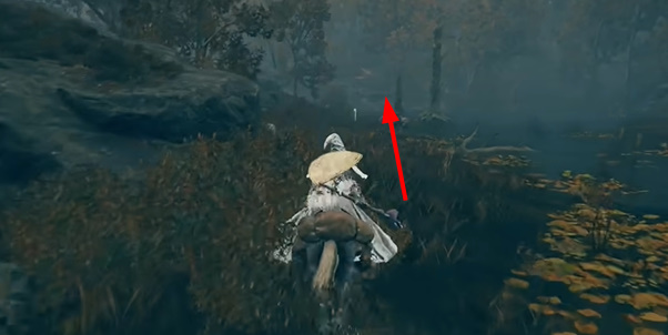 �����Ƿ���DLC����¸����ǵ�������ȡ����