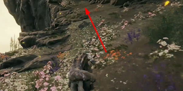 �����Ƿ���DLC����С�ƽ�����ȡ����