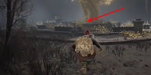 �����Ƿ���DLC���ܴͻ�����ȡ����