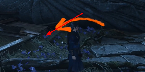 ����ʮ�����з���������ô��