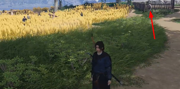 ����ʮ��������ຣ��¶��â������