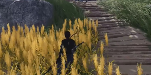 ����ʮ��������ຣ��¶��â������