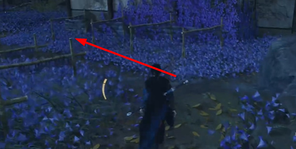 ����ʮ����Ӧ��͵��ҩ������ȫ��ɲ����Ƽ�