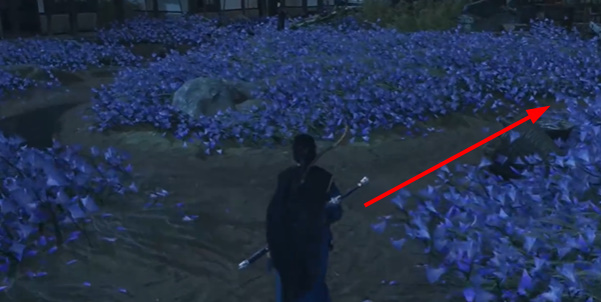 ����ʮ����Ӧ��͵��ҩ������ȫ��ɲ����Ƽ�