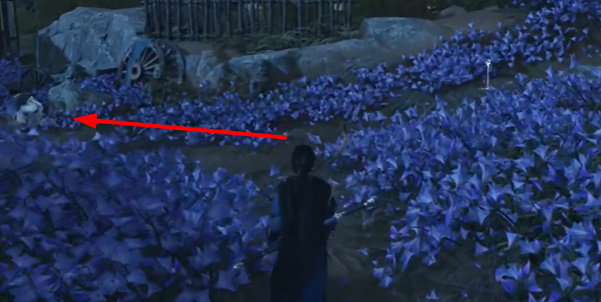 ����ʮ����Ӧ��͵��ҩ������ȫ��ɲ����Ƽ�