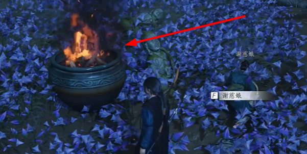 ����ʮ����Ӧ��͵��ҩ������ȫ��ɲ����Ƽ�