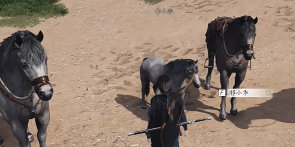 ����ʮ�������ϼ�ѱ������