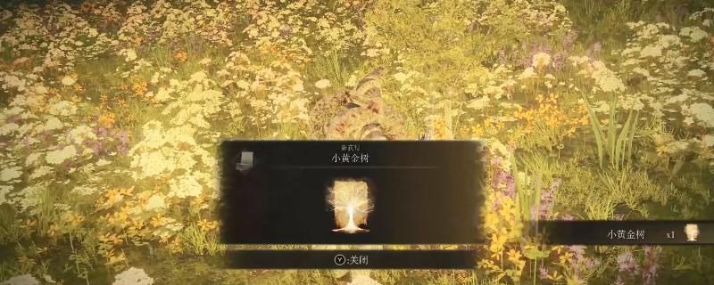 �����Ƿ���dlcС�ƽ�������