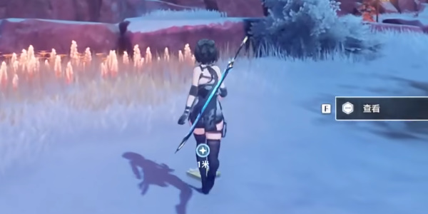 ����Ծ���ɹ�����������ɹ���