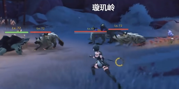 ����Ծ���ɹ�����������ɹ���