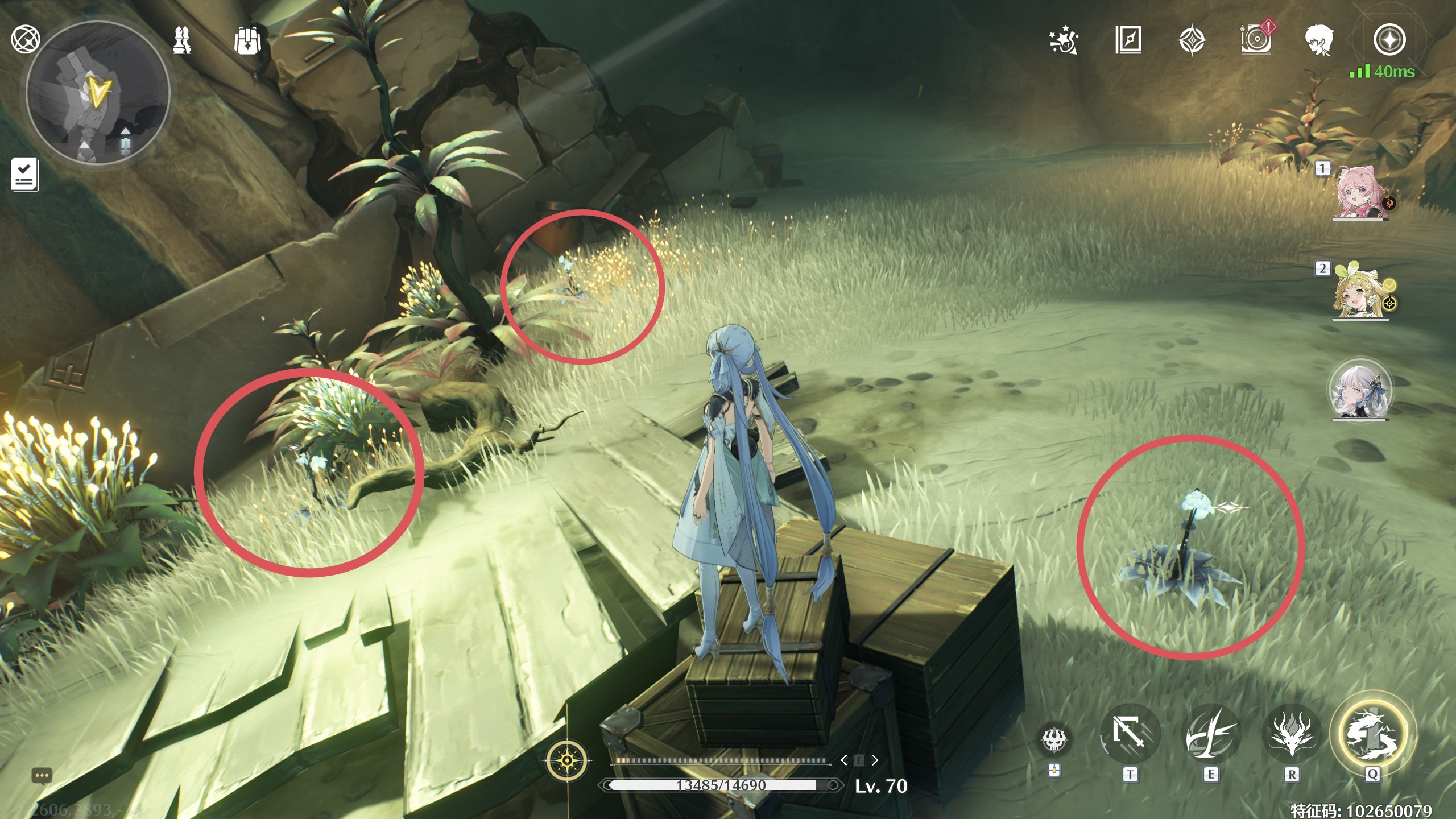 ����������������Ĳɼ�