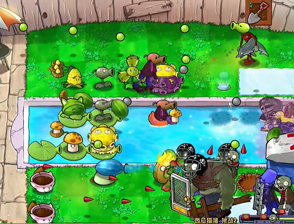 ֲ���ս��ʬ�ӽ�������è��2ͨ�ع���