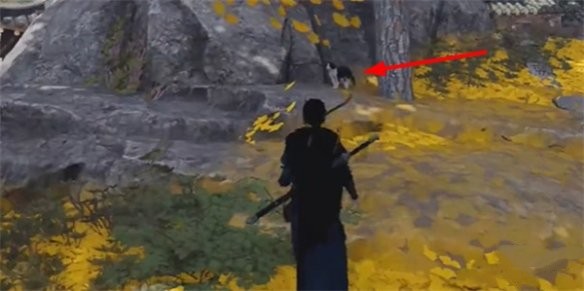 ����ʮ�������ϴ��ѵ�������ô���