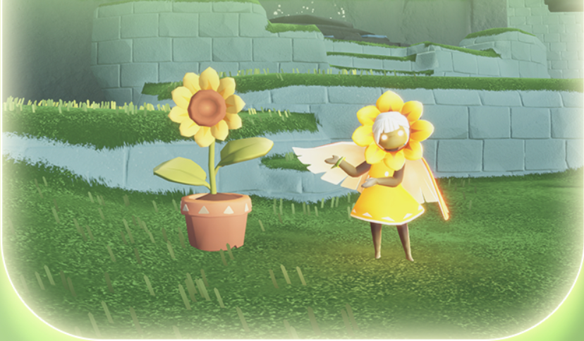 ����2024���ѽڻ���ݽ���