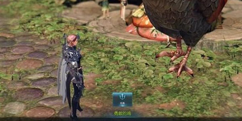 ���˷�������Ƥ�ǵ�֮����ô��õ�