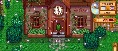 ¶﹫ô