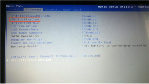 ����������ô����vt