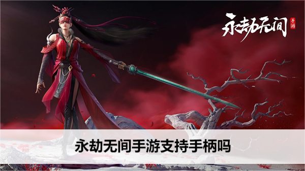 �����޼�����֧���ֱ���