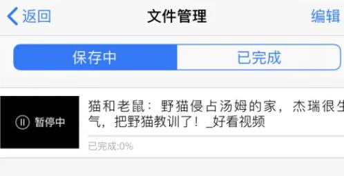 safari�����������ҳ��Ƶ����