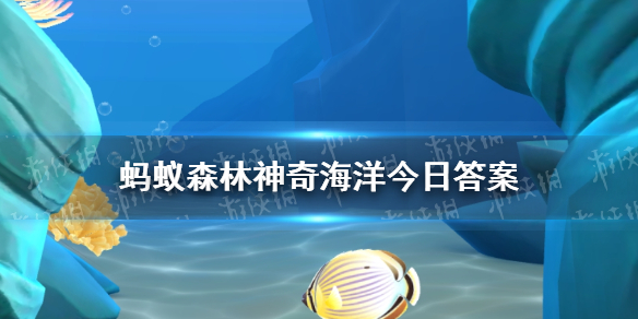 支付宝神奇海洋2024年8月6日答案是什么