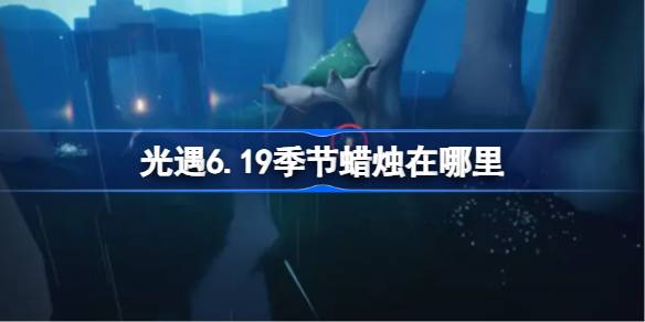 6.19
