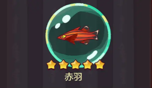 ֮ʲô