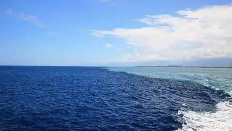 �����еĺڳ�֮���Ե�����Ҫ����Ϊ