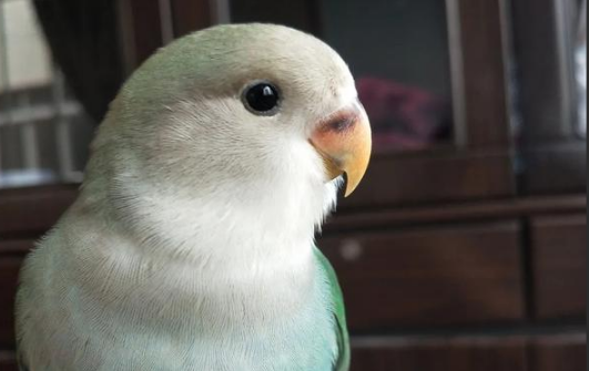 ��ҽ�ڸ����࿴��ʱ������ͨ�������ĸ���λ