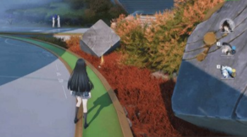 ������������Լ����ɹ���