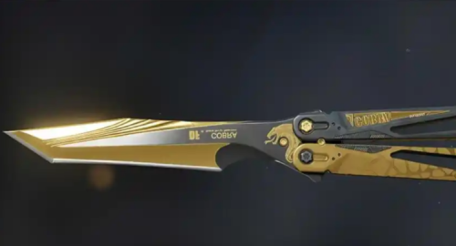 �������ж��µ�Ƥ������ȡ����